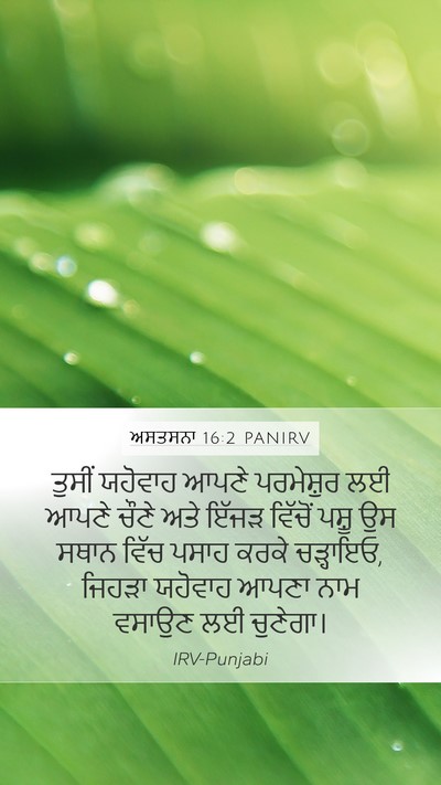 ਅਸਤਸਨਾ 16:2 PANIRV Bible Verse Image