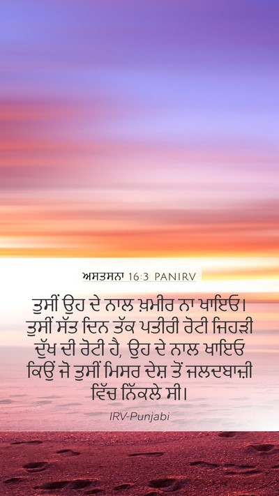 ਅਸਤਸਨਾ 16:3 PANIRV Bible Verse Image