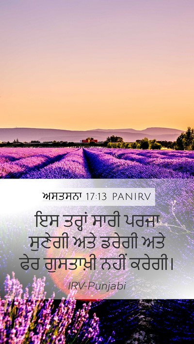 ਅਸਤਸਨਾ 17:13 PANIRV Bible Verse Image