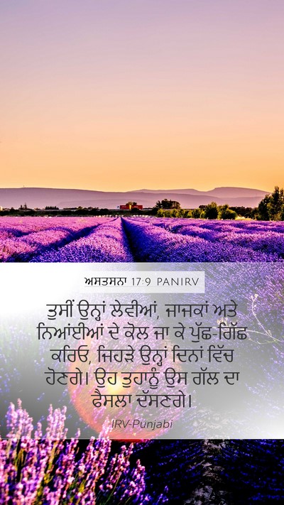 ਅਸਤਸਨਾ 17:9 PANIRV Bible Verse Image