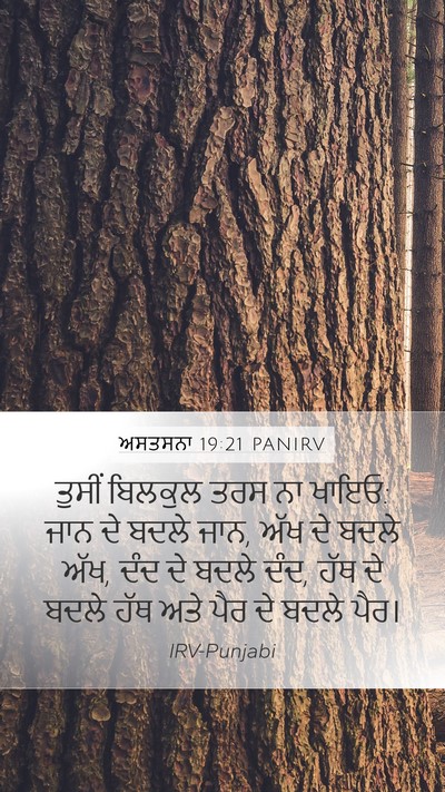 ਅਸਤਸਨਾ 19:21 PANIRV Bible Verse Image