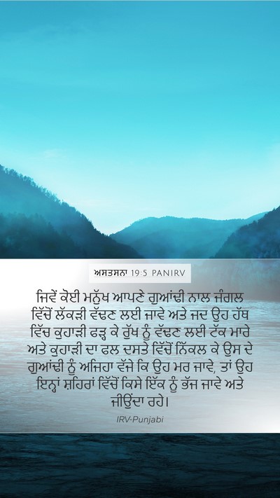 ਅਸਤਸਨਾ 19:5 PANIRV Bible Verse Image