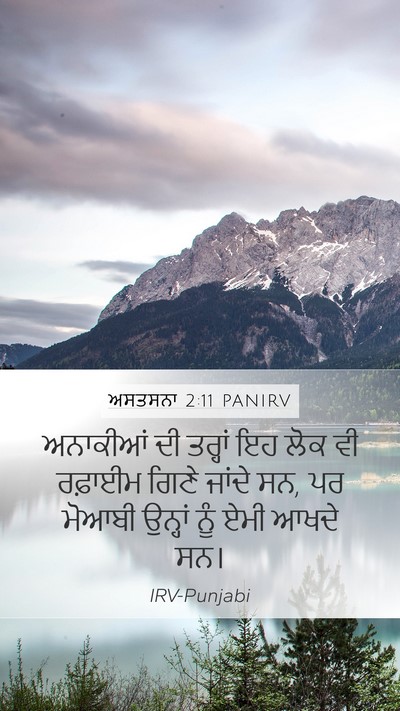 ਅਸਤਸਨਾ 2:11 PANIRV Bible Verse Image