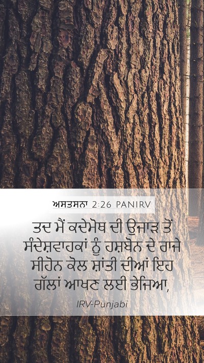 ਅਸਤਸਨਾ 2:26 PANIRV Bible Verse Image