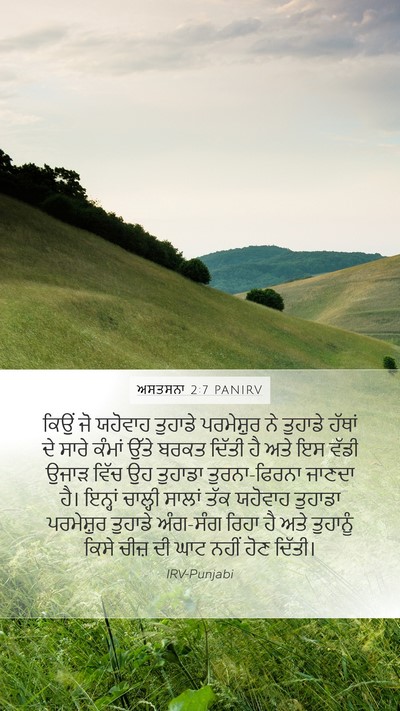 ਅਸਤਸਨਾ 2:7 PANIRV Bible Verse Image