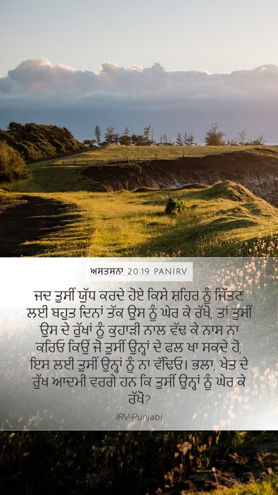 ਅਸਤਸਨਾ 20:19 PANIRV Bible Verse Image