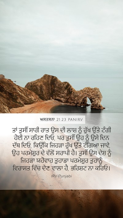 ਅਸਤਸਨਾ 21:23 PANIRV Bible Verse Image