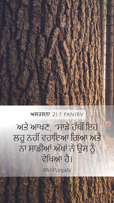 ਅਸਤਸਨਾ 21:7 PANIRV Bible Verse Image