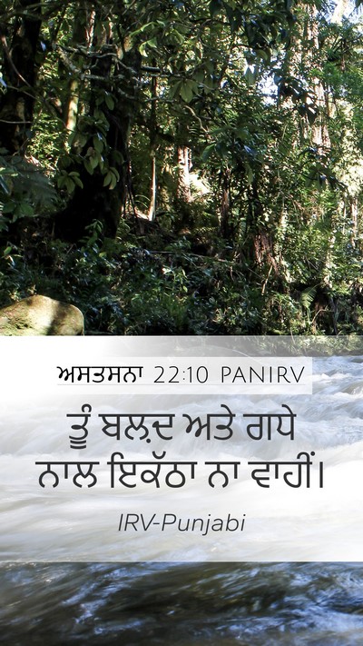 ਅਸਤਸਨਾ 22:10 PANIRV Mobile Phone Wallpaper - ਤੂੰ ਬਲ਼ਦ ਅਤੇ ਗਧੇ - Mobile Bible Verse Wallpaper