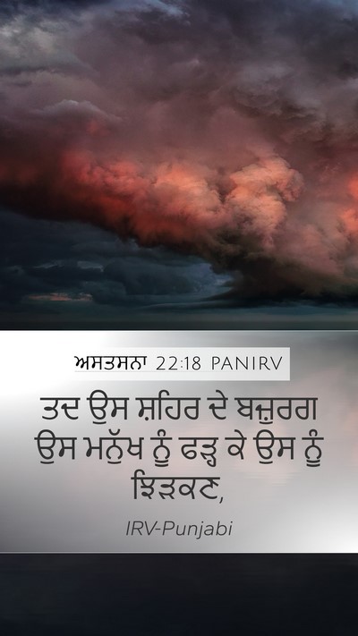 ਅਸਤਸਨਾ 22:18 PANIRV Mobile Phone Wallpaper - ਤਦ ਉਸ ਸ਼ਹਿਰ ਦੇ - Mobile Bible Verse Wallpaper