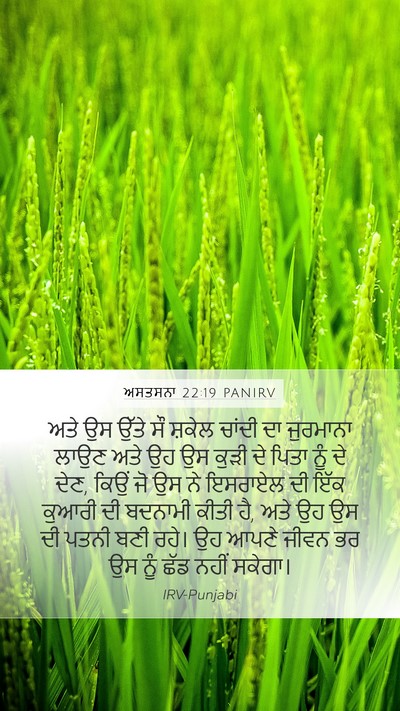 ਅਸਤਸਨਾ 22:19 PANIRV Bible Verse Image