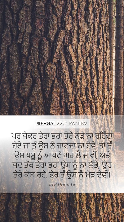 ਅਸਤਸਨਾ 22:2 PANIRV Mobile Phone Wallpaper - ਪਰ ਜੇਕਰ ਤੇਰਾ ਭਰਾ - Mobile Bible Verse Wallpaper