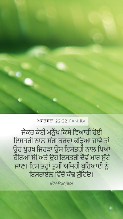 ਅਸਤਸਨਾ 22:22 PANIRV Bible Verse Image