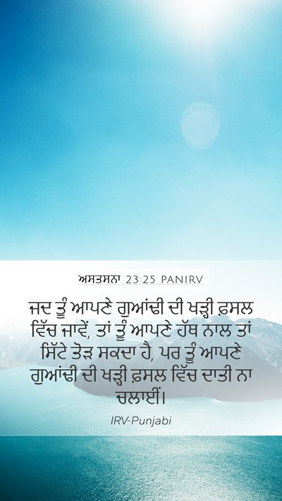 ਅਸਤਸਨਾ 23:25 PANIRV Bible Verse Image