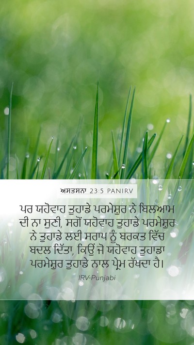 ਅਸਤਸਨਾ 23:5 PANIRV Bible Verse Image