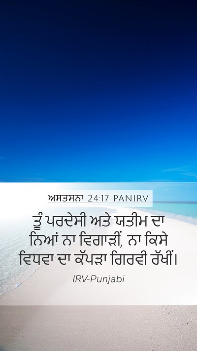 ਅਸਤਸਨਾ 24:17 PANIRV Bible Verse Image