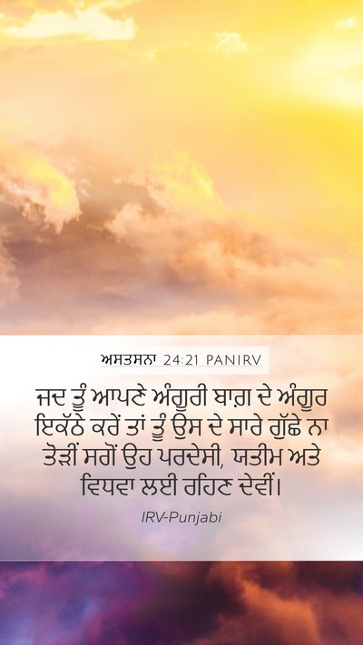 ਅਸਤਸਨਾ 24:21 PANIRV Bible Verse Image
