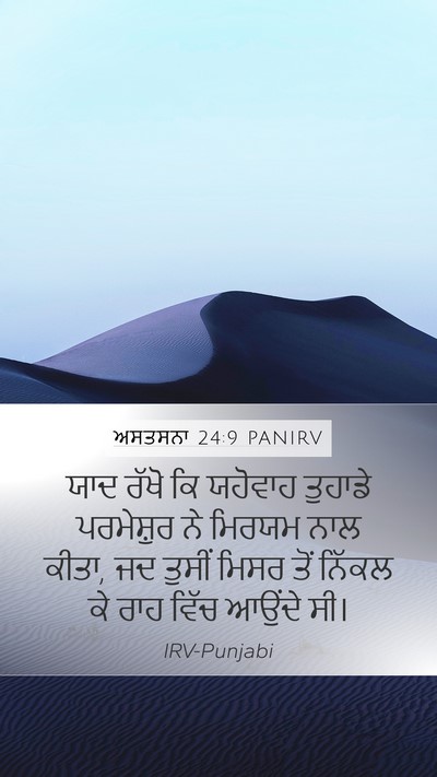 ਅਸਤਸਨਾ 24:9 PANIRV Bible Verse Image