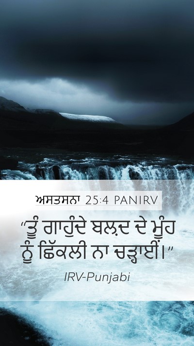 ਅਸਤਸਨਾ 25:4 PANIRV Bible Verse Image