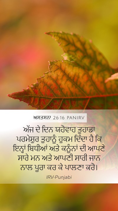 ਅਸਤਸਨਾ 26:16 PANIRV Bible Verse Image