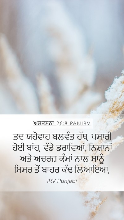 ਅਸਤਸਨਾ 26:8 PANIRV Bible Verse Image