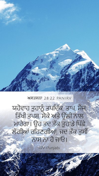 ਅਸਤਸਨਾ 28:22 PANIRV Bible Verse Image