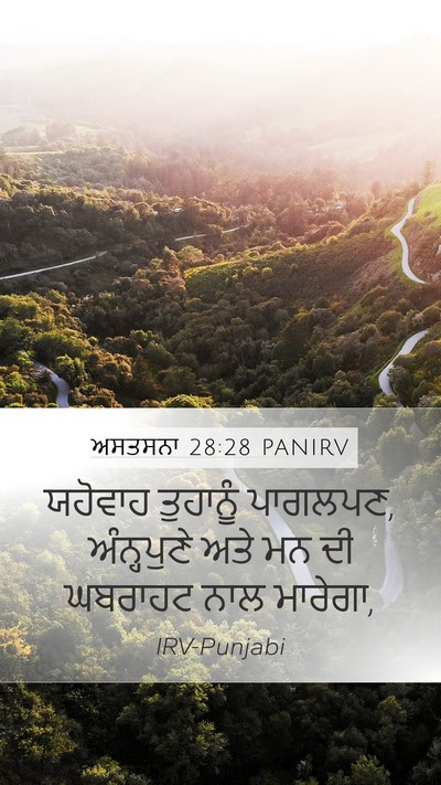 ਅਸਤਸਨਾ 28:28 PANIRV Bible Verse Image