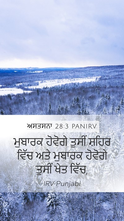 ਅਸਤਸਨਾ 28:3 PANIRV Bible Verse Image