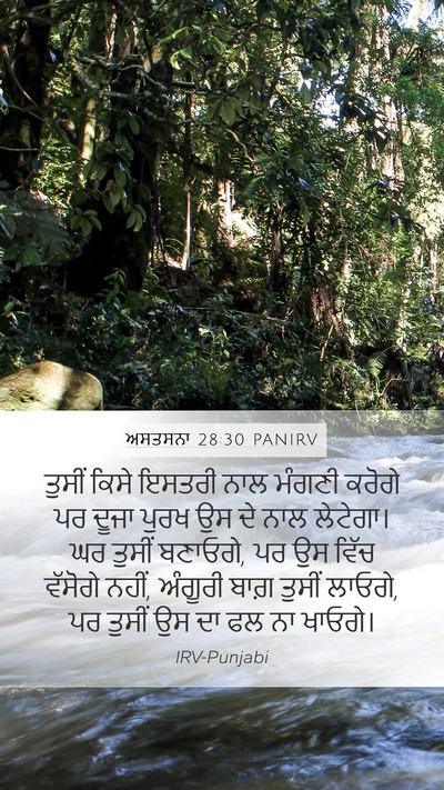ਅਸਤਸਨਾ 28:30 PANIRV Bible Verse Image