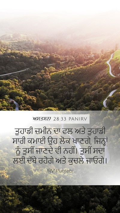 ਅਸਤਸਨਾ 28:33 PANIRV Bible Verse Image