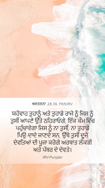 ਅਸਤਸਨਾ 28:36 PANIRV Bible Verse Image