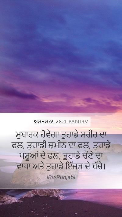 ਅਸਤਸਨਾ 28:4 PANIRV Bible Verse Image
