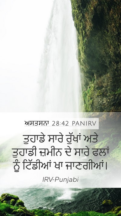 ਅਸਤਸਨਾ 28:42 PANIRV Bible Verse Image