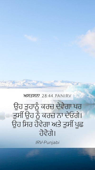 ਅਸਤਸਨਾ 28:44 PANIRV Bible Verse Image