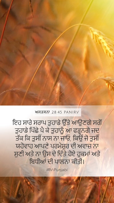 ਅਸਤਸਨਾ 28:45 PANIRV Bible Verse Image