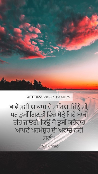 ਅਸਤਸਨਾ 28:62 PANIRV Bible Verse Image