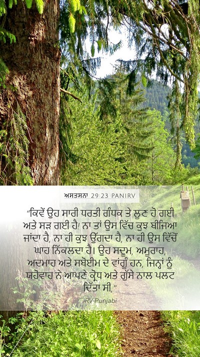 ਅਸਤਸਨਾ 29:23 PANIRV Bible Verse Image