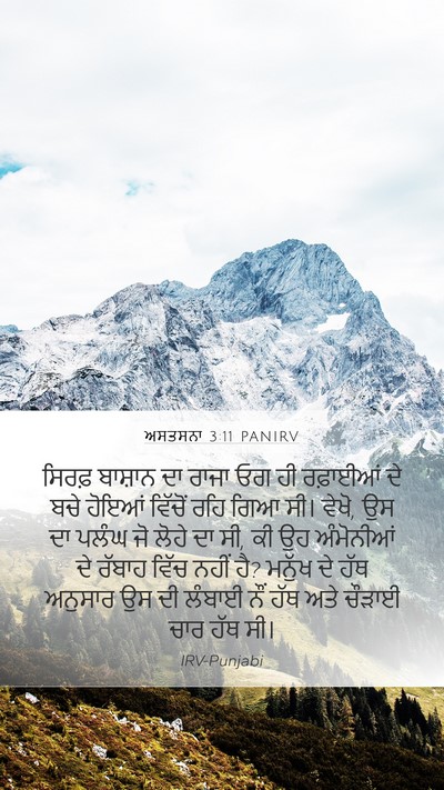 ਅਸਤਸਨਾ 3:11 PANIRV Bible Verse Image
