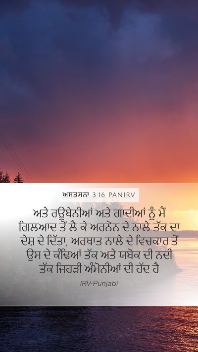 ਅਸਤਸਨਾ 3:16 PANIRV Bible Verse Image