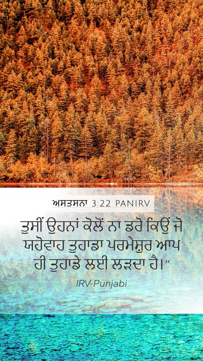 ਅਸਤਸਨਾ 3:22 PANIRV Bible Verse Image