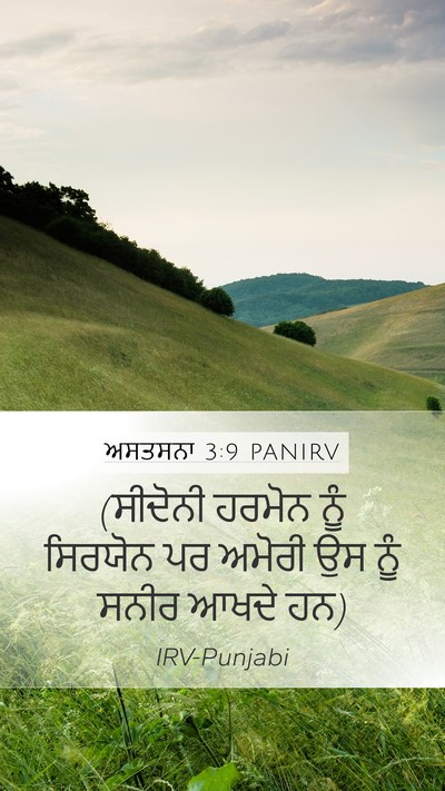ਅਸਤਸਨਾ 3:9 PANIRV Bible Verse Image