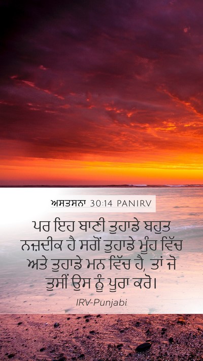 ਅਸਤਸਨਾ 30:14 PANIRV Bible Verse Image
