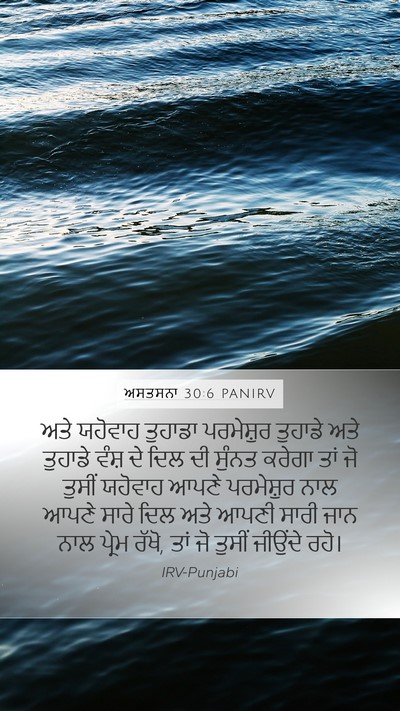 ਅਸਤਸਨਾ 30:6 PANIRV Bible Verse Image