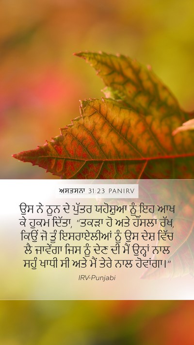 ਅਸਤਸਨਾ 31:23 PANIRV Bible Verse Image