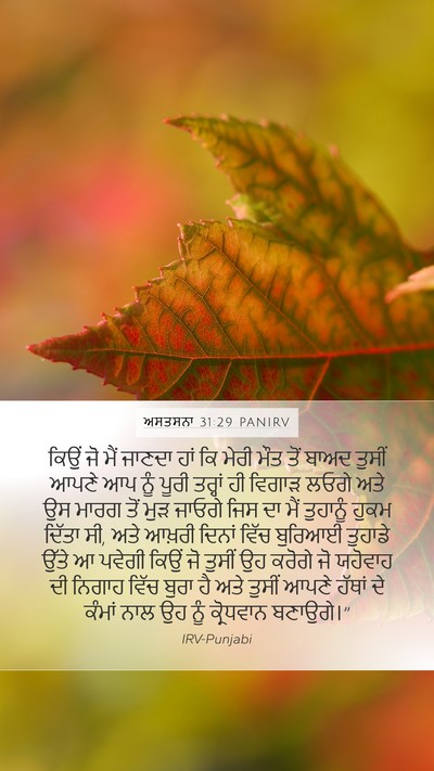 ਅਸਤਸਨਾ 31:29 PANIRV Bible Verse Image