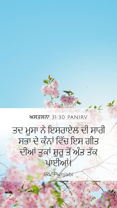 ਅਸਤਸਨਾ 31:30 PANIRV Bible Verse Image