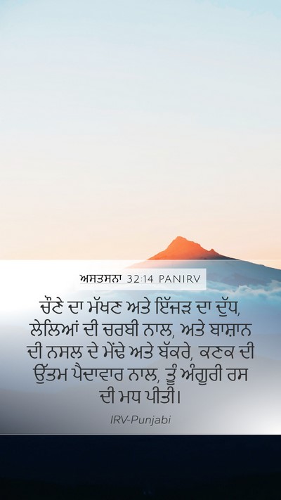 ਅਸਤਸਨਾ 32:14 PANIRV Bible Verse Image
