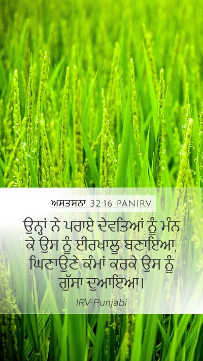 ਅਸਤਸਨਾ 32:16 PANIRV Bible Verse Image