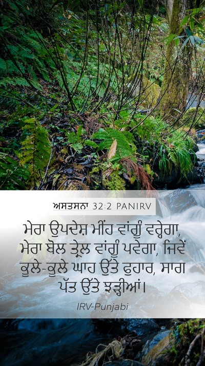 ਅਸਤਸਨਾ 32:2 PANIRV Bible Verse Image