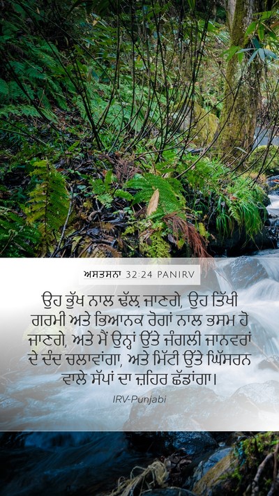 ਅਸਤਸਨਾ 32:24 PANIRV Bible Verse Image
